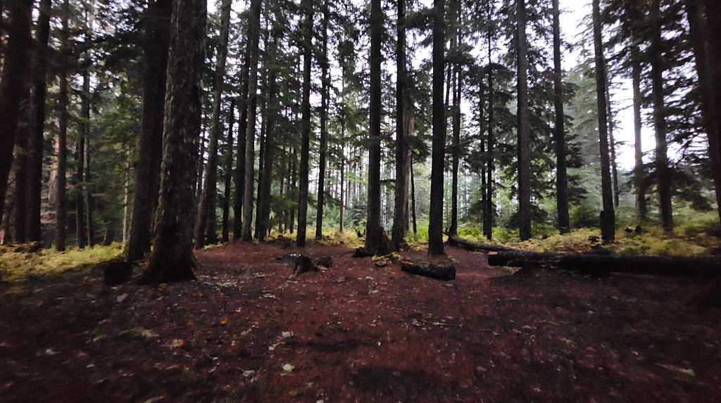 Entering The Old&nbsp;World